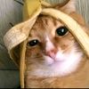 advance_army999