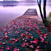 fatm_14i