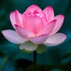 satnam5295