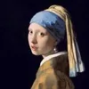 vermeer.exposing