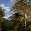 luziaoliveira50952