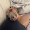 janefairy1