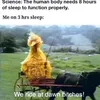 picomundo