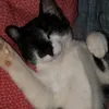jserjoani