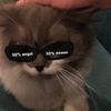 no_uu18