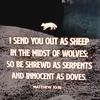 wisewordoftheday