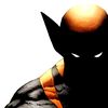 wolverine___260