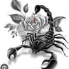 _shadow_791