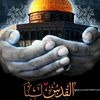 manelnawal