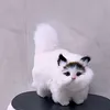 miumiudethuong127