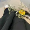 ريِٰـِۢمِٰـِۢة