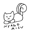 0xasimx0