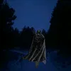official_holybrother