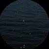 01_ll2