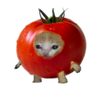 tomatoored