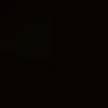 _fhrzi19_