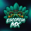 EscorciaMX