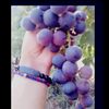 derya63214