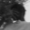 king_saviya