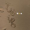 asmaahamdy018