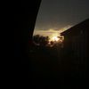 aryh007