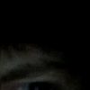 jarol.cp