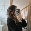 dana.nfld