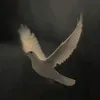 rm_h90