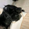cesartavernier17051987