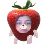 lil_shippou