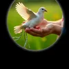 user78063788719112
