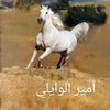 ameer_alenezi