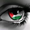 reemkhaled412