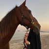 x_gkl7