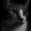 1andres_fazer
