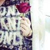 celia_cycyy