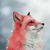 stamenthefoxbg