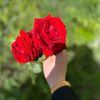 myheartgoes0