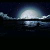 moonlight5470