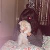 beba_17a