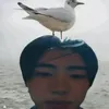 tapirocaoo