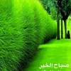 alialaimrey3