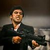 o_gustavo33