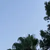 fpurdx