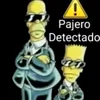 pajero dectectado
