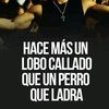 javi247_