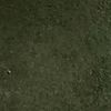 alfinz_19