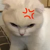 chipphaybuon_