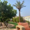 salemalsh1