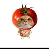 meocute0818